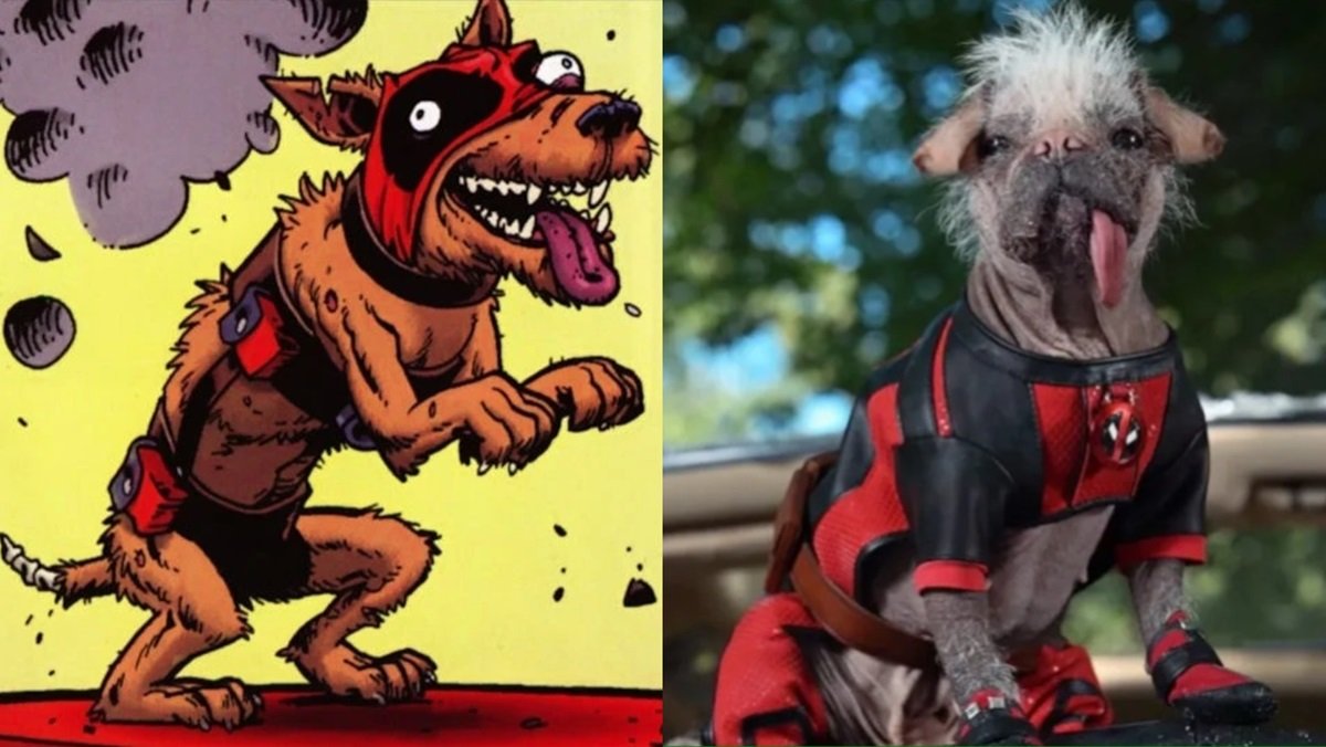 Dogpool, as he appears in the pages of Marvel Comics and in live-action in Deadpool 3.